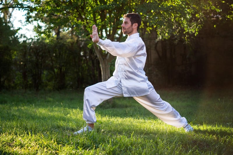 Tai Chi Martial Arts Kung Fu